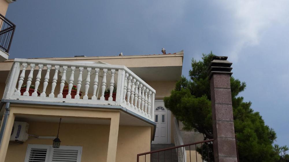 Apartment Gevera