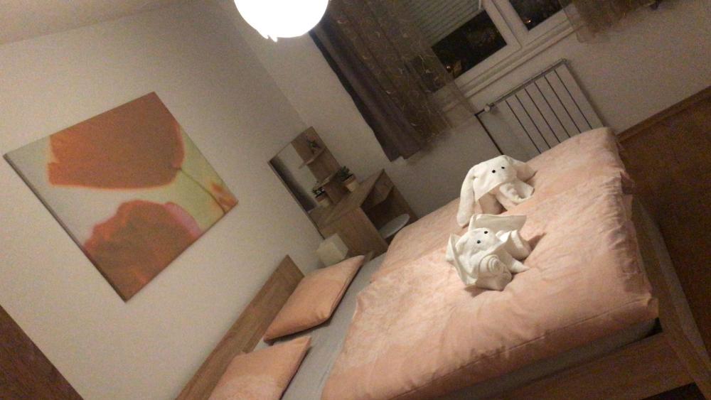 Apartment Marlena